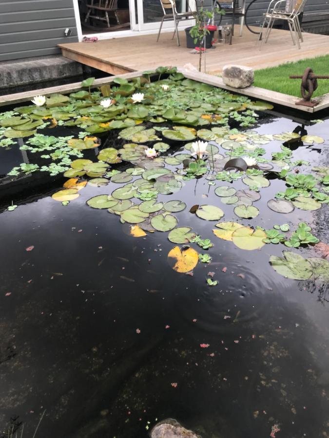Morpheus Bed & Breakfast Amsterdam Ngoại thất bức ảnh